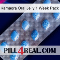 Kamagra Oral Jelly 1 Week Pack viagra3